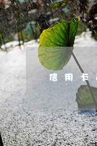 信用卡逾期 派出所笔录 信用卡逾期 派出所笔录